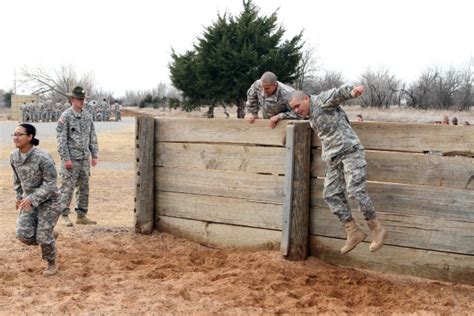 Opat To Guide Recruits To Groups Of Rather Than Specific Moss