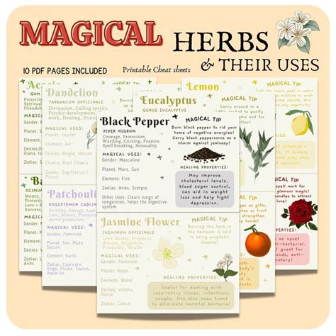 Magical Herbs Witchcraft Wicca Green Witch Grimoire Magickal Herbs Kitchen Witch