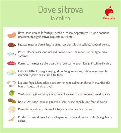 Colina: a cosa serve, fabbisogno, alimenti ricchi