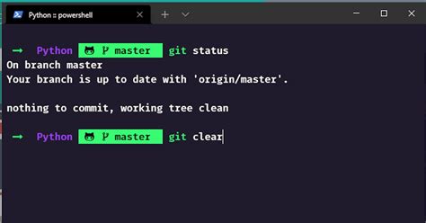Customize Your Terminal Using Oh My Posh Theme Hashnode