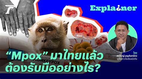 ฝดาษวานร MPOX นากลวแคไหน เราตองเตรยมรบมออยางไร l Thairath