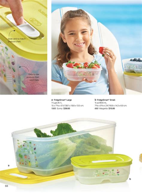 Tupperware Summer 2017 Catalog By Ralvarez1590 Issuu