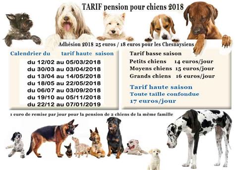 Garde Chien Journee Tarif Garde De Chiens