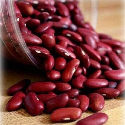 Kashmiri Rajma Red Beans High In Protein Kg At Rs Kg In Kashmir