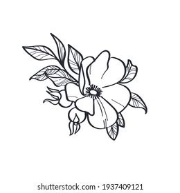 Image Tattoo Flower Line Drawing Stock Illustration 1937409121 | Shutterstock