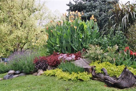 Diseño De Jardines Con Piedras Y Troncos