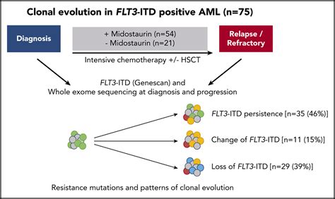 Clonal Evolution Of Acute Myeloid Leukemia With FLT3 ITD Mutation Under