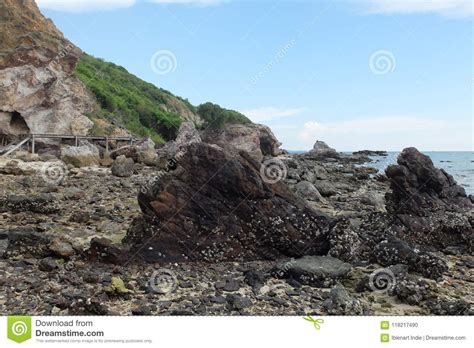 Natural Black Rock And Shell At The Sea Thailand Stock Photo Image