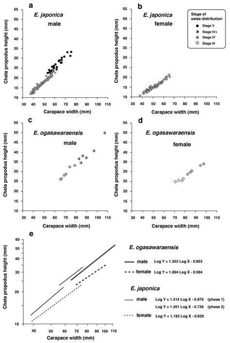 Relationship Between Carapace Width Cw Chela Propodus Height Cph