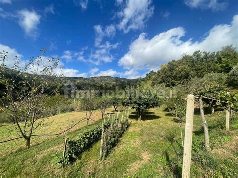 Terreno Agricolo Contrada Muretto Lamezia Terme Rif 107408971