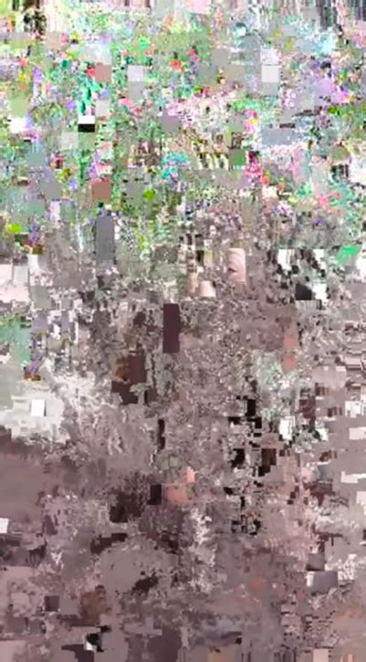 Distorted and Pixelated Video – SightCall Help Center