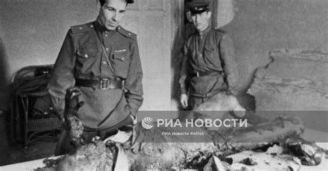ГЕББЕЛЬС | РИА Новости Медиабанк