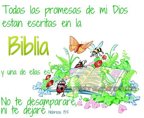 Todas Las Promesas De Mi Dios Palabras