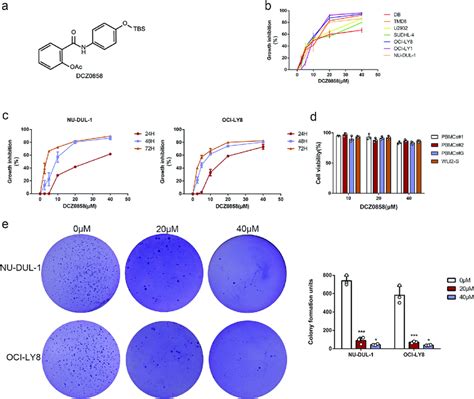 Dcz0858 Inhibits Dlbcl Cell Growth And Proliferation A Chemical Download Scientific Diagram