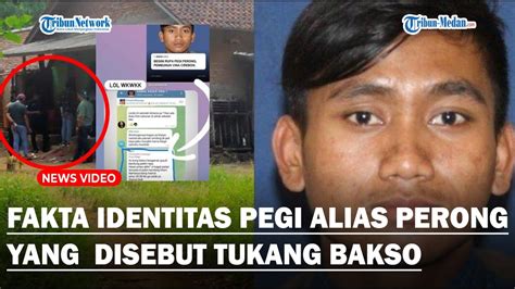 Fakta Identitas Pegi Alias Perong Yang Disebut Tukang Bakso Dan