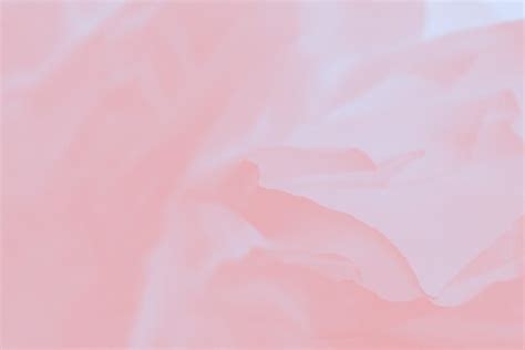 Pale Pink Wallpaper For Desktop Infoupdate Org