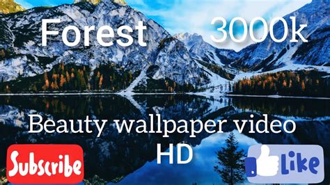 Relaxing Music With Amazing Nature Scenery HD Video 1080p Hours