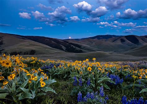 America's Great Outdoors, On their famous expedition, Lewis and Clark passed...