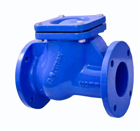 Mm Normex Flanged Ball Check Valve At Best Price In Pune