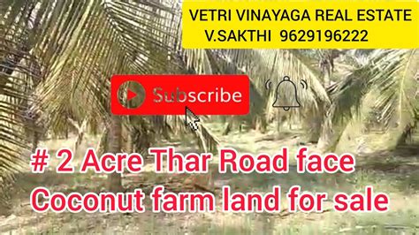 Acre Thar Road Face Coconut Farm Land For Sale Senjerimalai