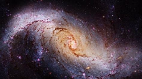 Space Journey Through Start Field Into Stellar Nursery NGC 1672 Spiral