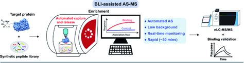 Affinity Selection Mass Spectrometry As Ms Assisted By Bio Layer Download Scientific Diagram