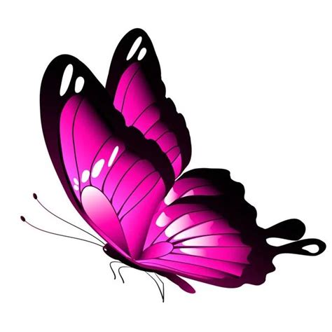 Borboleta Rosa Brilhante Isolada Fundo Branco Vetorial Ilustra O