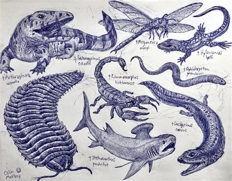 Carboniferous Period Amphibians