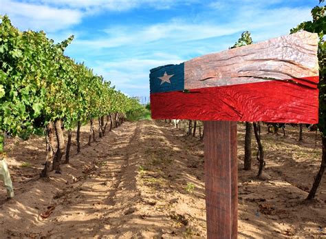 This Country Makes the Best Wine in the World, Says New Data — Eat This ...