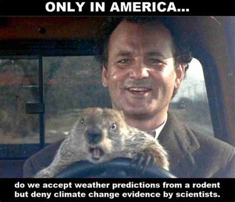 Collection Of Groundhogs Day Memes 2021 Guide For Geek Moms