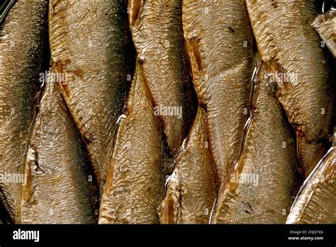 Macro Close Up Of Canned Baltic Smoked Sprats In Oil Food Background