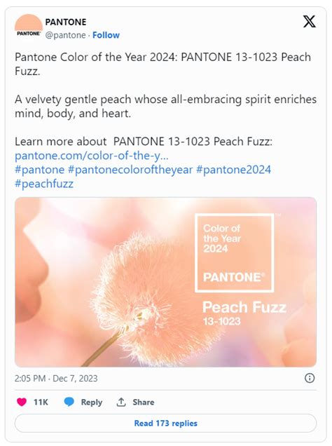 Pantones Colour Of The Year Peach Fuzz