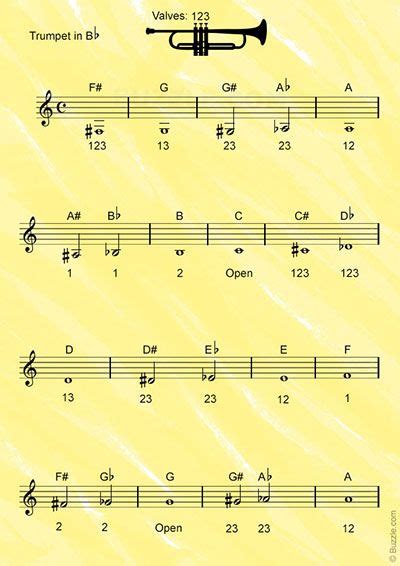 Bb Trumpet Fingering Chart And Overtone Series Artofit