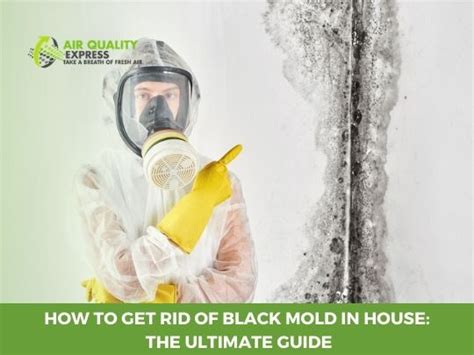 How To Get Rid Of Black Mold In House The Ultimate Guide Air Quality