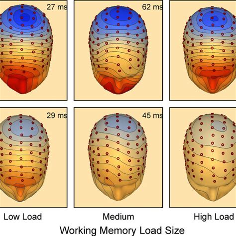 Voltage Distribution Maps Representing The Scalp Topography Of The