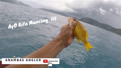 Mancing Mandas Dengan Umpan Cumi Potong Youtube