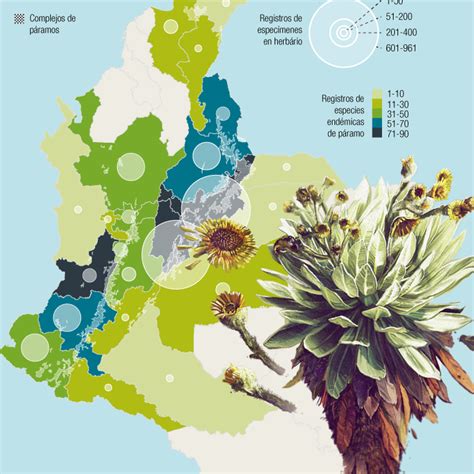 La Construcci N De La Lista Roja De Plantas End Micas De Los P Ramos