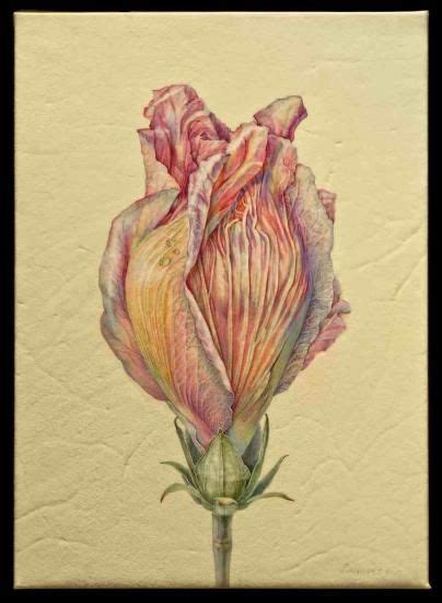 Jean Emmons American Society Of Botanical Artists Botanical