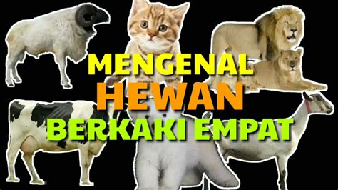 Hewan Omnivora Berkaki Empat - Fermin Begeman