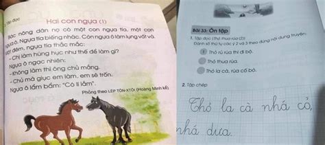 Sách Tiếng Việt Lớp 1 Của Cánh Diều Chính Thức Phải điều Chỉnh Nội Dung Chưa Phù Hợp Làm Cha Mẹ