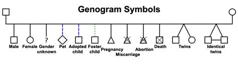 Genogram Definition Lokasinsecret