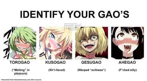 IDENTIFY YOUR GAO S Ass 7 G I TOROGAO KUSOGAO GESUGAO AHEGAO Melting