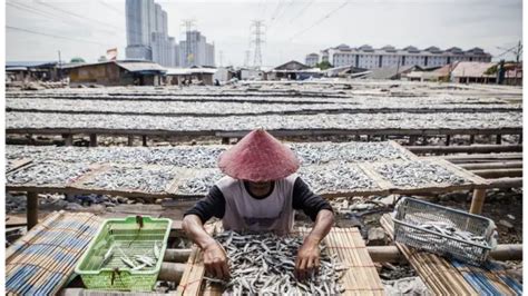 PTUN Cabut Izin Reklamasi Tiga Pulau Di Teluk Jakarta BBC News Indonesia