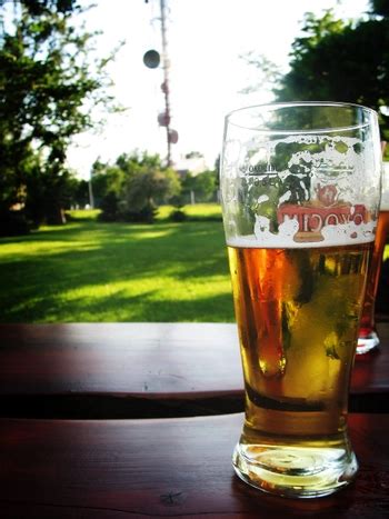 Free bg pivo beer Photos & Pictures | FreeImages