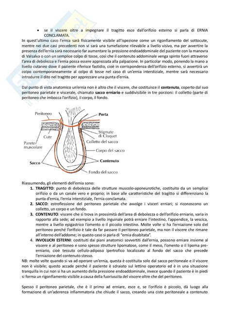 Ernie Della Parete Addominale Appunti Di Semeiotica