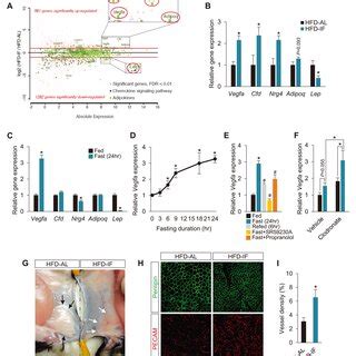 Fasting Induces Adipose Vegf Expression A Ma Plot Highlighting