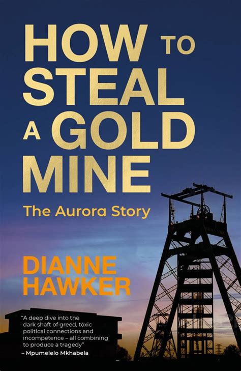 Book Extract How To Steal A Gold Mine City Press