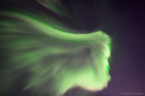 A Corona Of The Aurora Borealis Photo Alaska Carl Donohue Photography