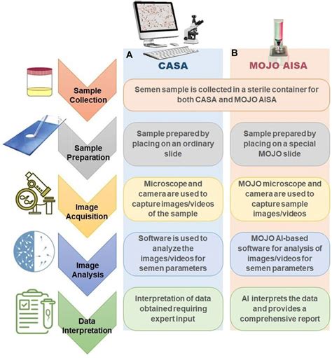 Frontiers Revolutionizing Semen Analysis Introducing Mojo Aisa The