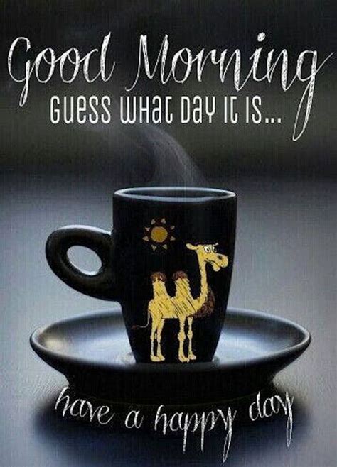 Good Morning Wednesday Hump Day